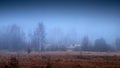 Dark, mystic, magic, fairytale trails into the forest into an autumn foggy day.