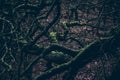 Dark mystical branches with moss