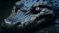 Dark And Mythical Alligator Close-up: A Horror-inspired Photography