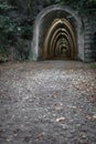 Dark narrow stone tunnel in the forest Royalty Free Stock Photo