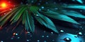 Dark Neon Light palm leaves and droplet Water dramatic photo effect background, realism, realistic, hyper realistic