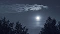 Dark night landscape with full moon, trees silhouette Royalty Free Stock Photo