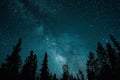 A dark night sky dotted with stars above a forest of tall trees, A backdrop as dark as the night sky Royalty Free Stock Photo