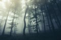 Dark night woods with scary fog Royalty Free Stock Photo