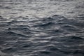 Dark ocean water New Zealand. Royalty Free Stock Photo