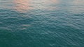 Dark ocean water rippling under golden evening sky. Aerial calm marine sunset Royalty Free Stock Photo