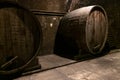 Dark old cellar with large wine oak barrels