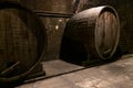 Dark old cellar with large wine oak barrels Royalty Free Stock Photo