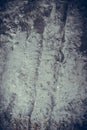 Dark old concrete wall texture Royalty Free Stock Photo