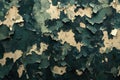 Dark Olive Green Background with Peeling Paint and Military Camouflage Pattern Royalty Free Stock Photo