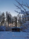 A dark one-story wooden house - a round log bathhouse in the snow among snow-covered trees against the backdrop of a winter sunset