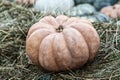 Dark orange ribbed pumpkin stands alone on brown dry hay