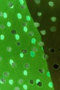 Dark and pale green tulle with shiny dots.