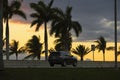 Dark palm trees against sunset sky and driving car on seaside street on summer Florida evening