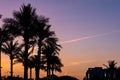 Dark palm trees silhouettes in an orange and purple sky with aircraft streaks, picturesque sunset in Dubai Royalty Free Stock Photo