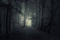 Dark path in haunted woods at night