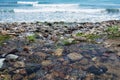 Dark pebble in Santa Caterina di Pittinuri shoreline Royalty Free Stock Photo