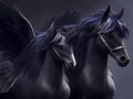 Dark Pegasus: Unleash the Power of Fantasy with Captivating Artwork Royalty Free Stock Photo