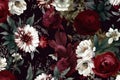 dark peony decoration vintage background bouquet flower nature wallpaper burgundy flora. Generative AI.