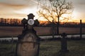 Dark photo of old and abandoned cross grave stone on European cemetery with tree and forest on background on sunset. Creepy and