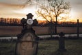 Dark photo of old and abandoned cross grave stone on European cemetery with tree and forest on background on sunset. Creepy and Royalty Free Stock Photo