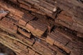 Dark pine bark, wood texture background Royalty Free Stock Photo
