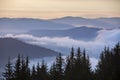 Dark pine tree tops on mountains, foggy valleys and pink sky at sunrise misty blue background