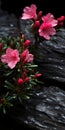 Dark Pink Azalea On Stone: Moody Tabletop Photography With Sustainable Design