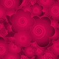 Dark Pink Flower Blossoms Background