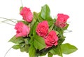 Dark pink roses flowers arrangement, green leaves bouquet