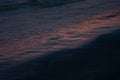 Dark pink surf on sea on sunset -  colorful pink, purple reflection of sunbeams and glare of sun in smooth deep blue waves. Royalty Free Stock Photo