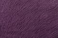 Dark purple background from soft textile material. Fabric with natural texture. Royalty Free Stock Photo