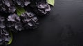 Dark Purple And Black Hydra Flowers On Black Background