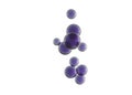 Dark purple bubbles over a white surface Royalty Free Stock Photo