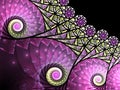 Dark Purple Fractal Spirals