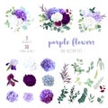 Dark purple garden rose, plum orchid, white and violet rose, lil Royalty Free Stock Photo