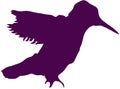 Dark Purple Hummingbird Silhouette Royalty Free Stock Photo