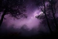 dark purple mist hanging over magical forest, with twinkling stars in the night sky Royalty Free Stock Photo