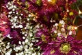 Dark purple New England Aster bouquet Royalty Free Stock Photo