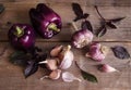 Dark purple peppers with leaves of basil and garlic Royalty Free Stock Photo