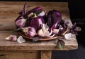 Dark purple peppers with leaves of basil and garlic on old wooden table on black background Royalty Free Stock Photo