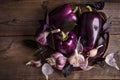 Dark purple peppers with leaves of basil and garlic Royalty Free Stock Photo