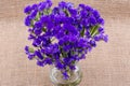 Dark Purple Statice Limonium sinuatum Flowers in clear glass vase on natural burlap. Mediterranean plant in Plumbagin