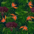 Dark purple Tacca flower and strelizia background. Tropical exotic plant seamless pattern