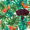 Dark purple Tacca flower and strelizia background. Tropical exotic plant seamless pattern. Monstera leaves and bird of paradise