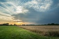 Dark rain cloud over the fields, summer view Royalty Free Stock Photo