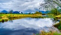 Dark rain clouds on a cold spring day at over the Pitt River and the lagoons of Pitt-Addington Marsh in Pitt Polder at Maple Ridge Royalty Free Stock Photo