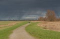 Path with hikers thorugh a cloudy polder landscape with industrial buildings in the background near Antwerp