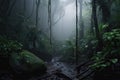 dark rainforest scene with misty fog, creating mysterious atmosphere Royalty Free Stock Photo