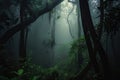 dark rainforest scene with misty fog, creating mysterious atmosphere Royalty Free Stock Photo